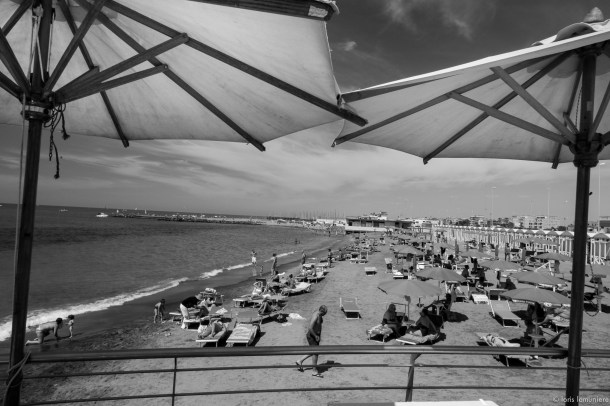 la-vecchia-pineta-ostia